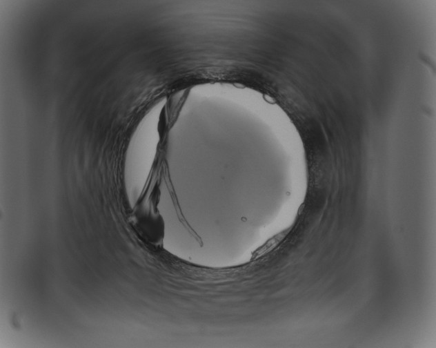 X0000097660031200803281000