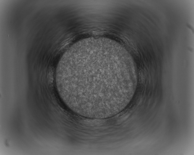 X0000097660032200803281000