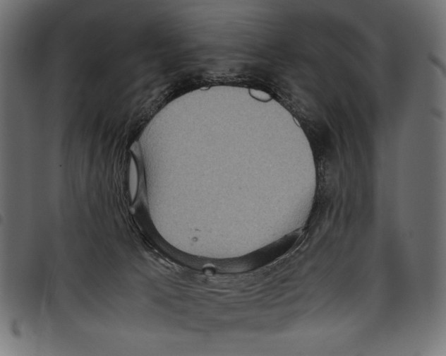 X0000097660033200803281000