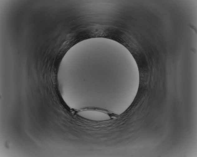 X0000097660035200803281000
