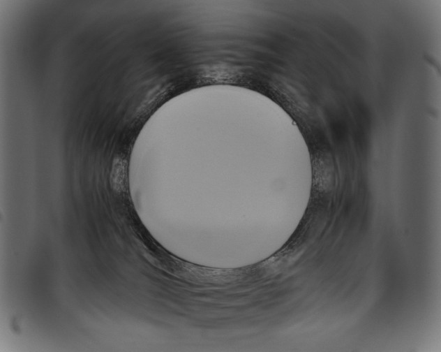 X0000097660036200803281000
