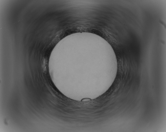 X0000097660038200803281000