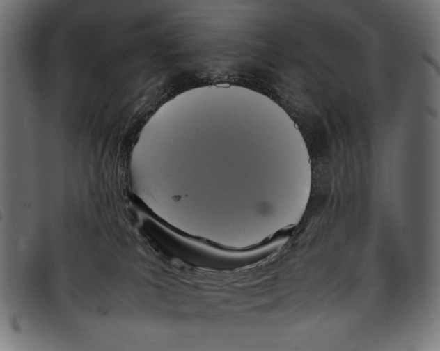 X0000097660039200803281000