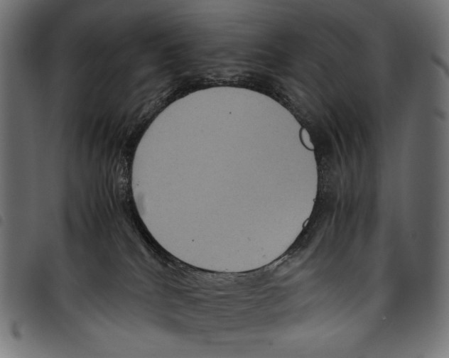 X0000097660040200803281000