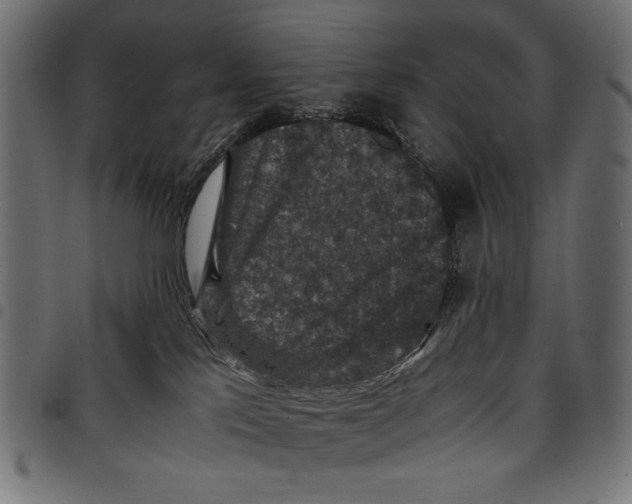 X0000097660041200803281000