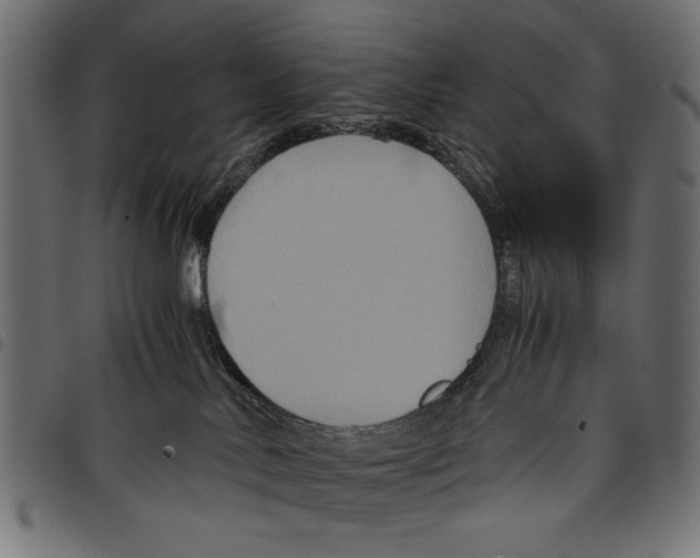 X0000097660042200803281000