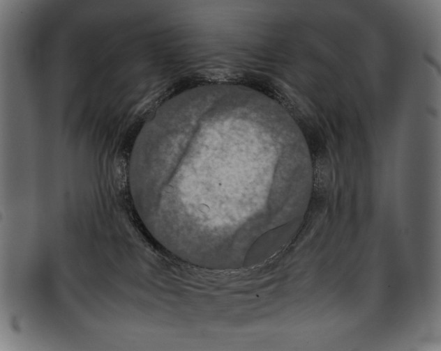 X0000097660043200803281000