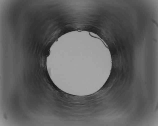 X0000097660044200803281000