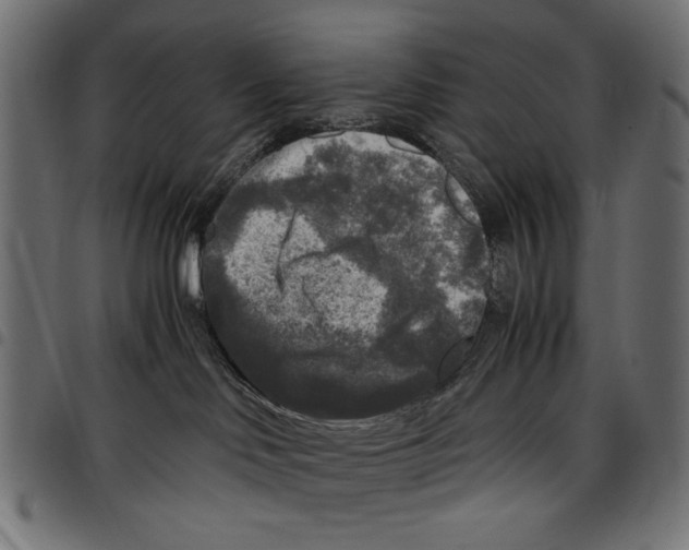 X0000097660046200803281000