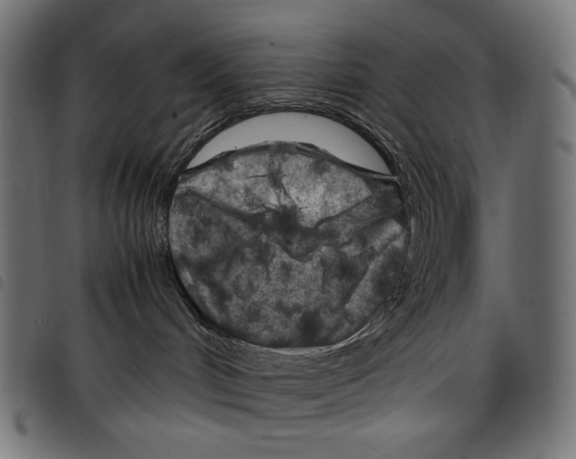X0000097660048200803281000