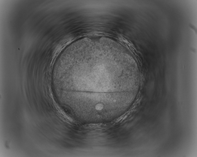 X0000097660049200803281000