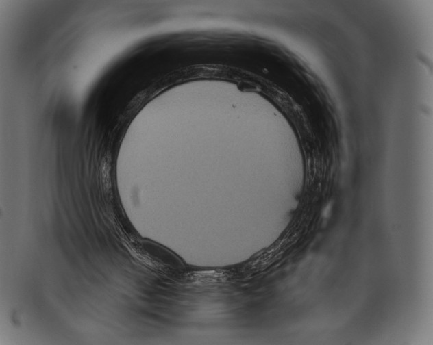 X0000097660050200803281000