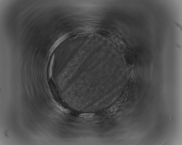 X0000097660051200803281000