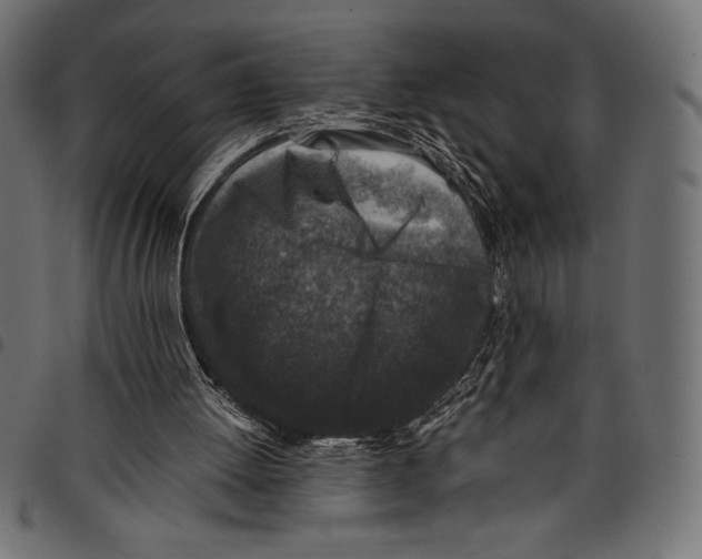 X0000097660052200803281000