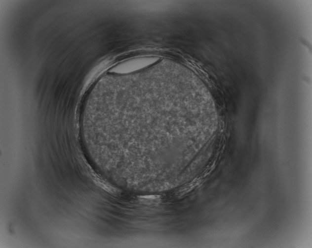 X0000097660053200803281000