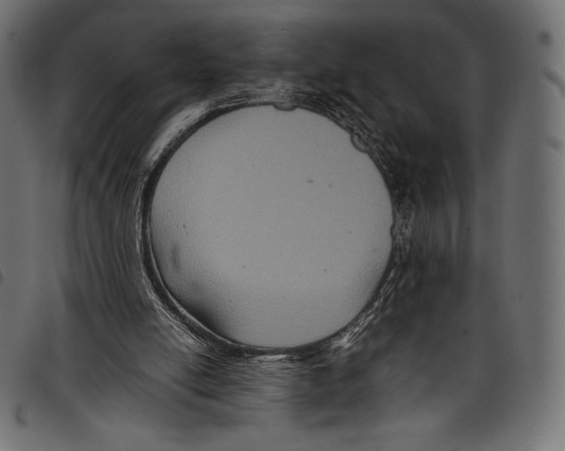 X0000097660054200803281000