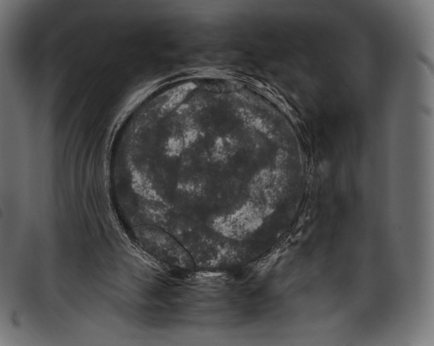 X0000097660055200803281000