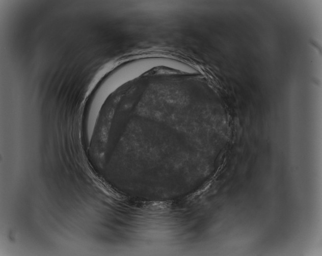 X0000097660056200803281000