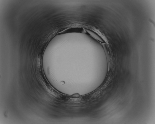 X0000097660057200803281000