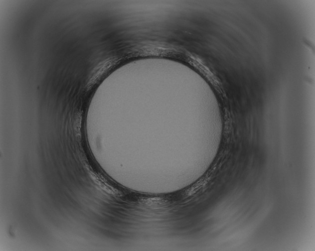 X0000097660058200803281000