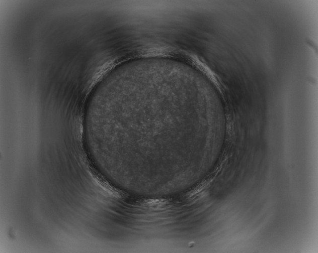 X0000097660059200803281000