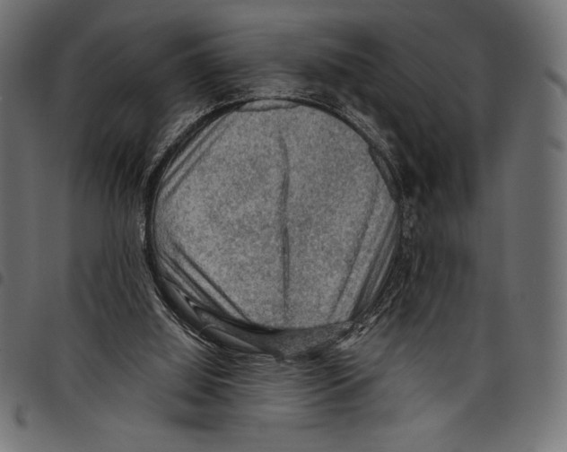 X0000097660060200803281000