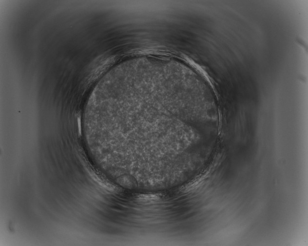 X0000097660061200803281000