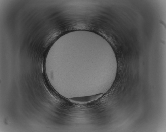 X0000097660062200803281000