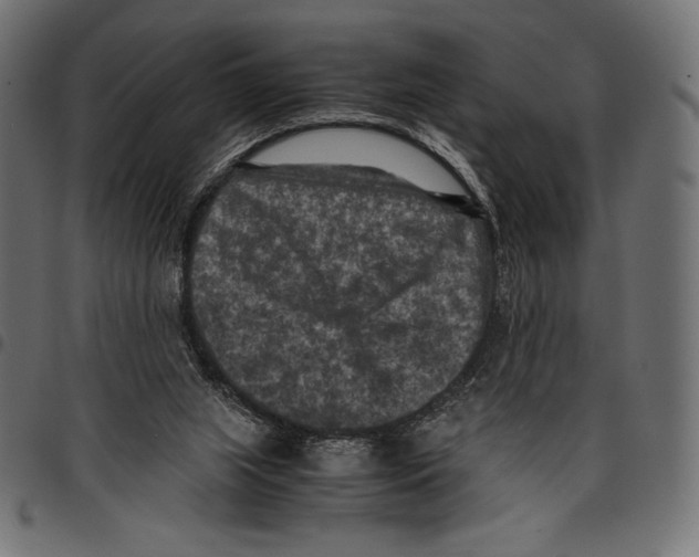 X0000097660063200803281000