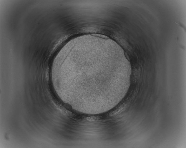 X0000097660064200803281000