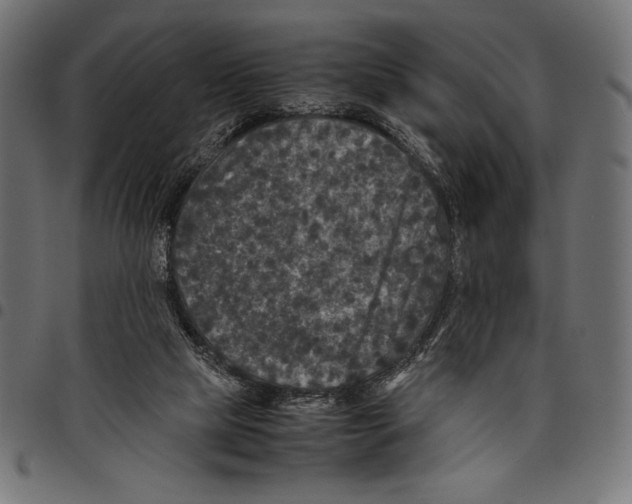 X0000097660065200803281000