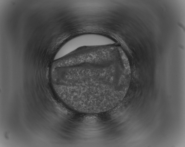 X0000097660066200803281000