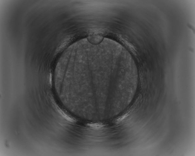 X0000097660067200803281000