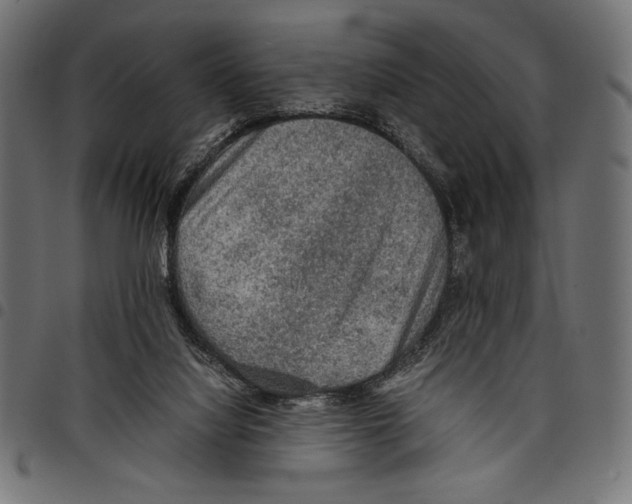X0000097660068200803281000