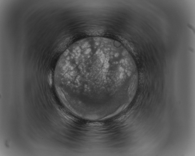 X0000097660069200803281000