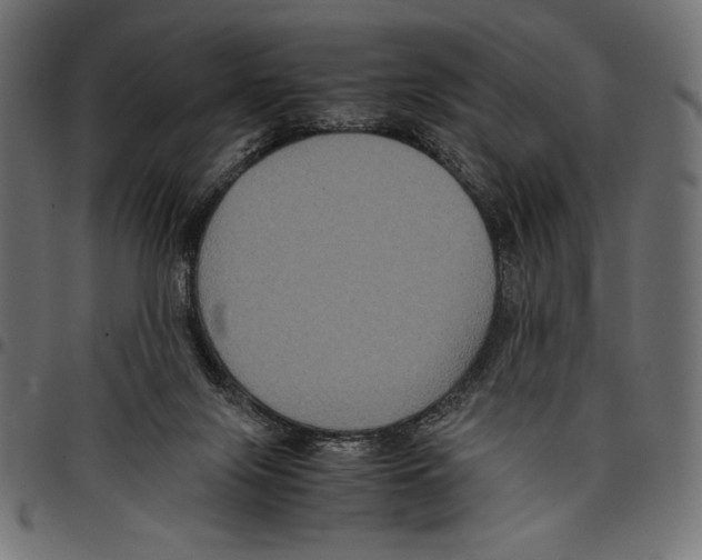 X0000097660071200803281000