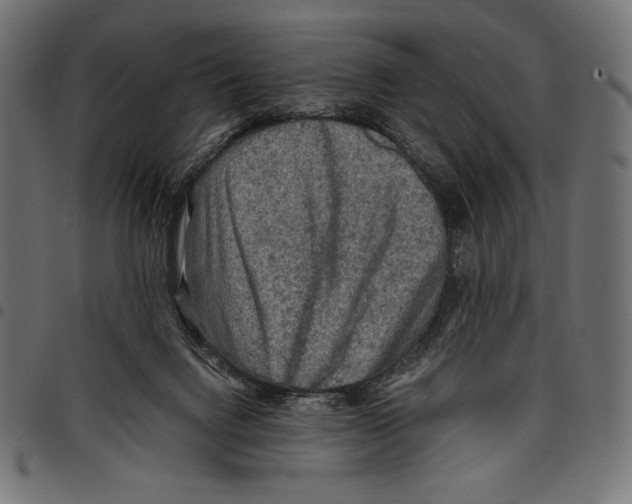 X0000097660072200803281000