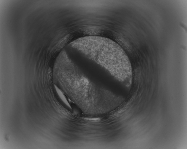 X0000097660073200803281000