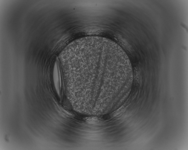 X0000097660074200803281000