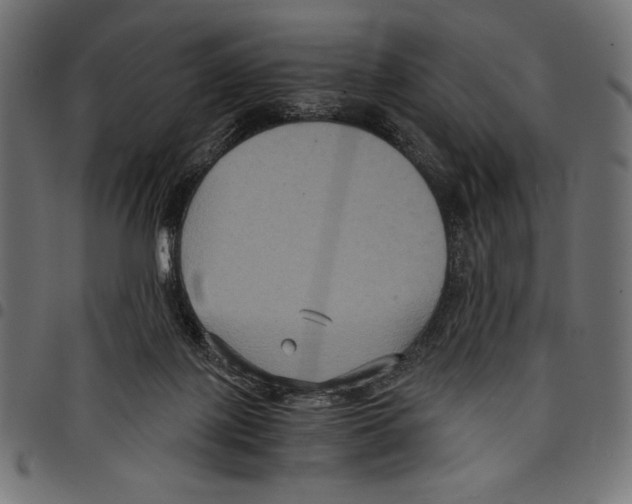 X0000097660075200803281000