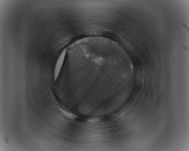 X0000097660076200803281000