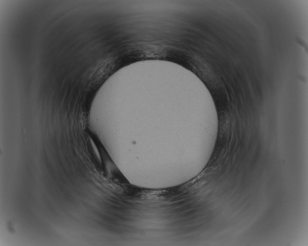 X0000097660078200803281000