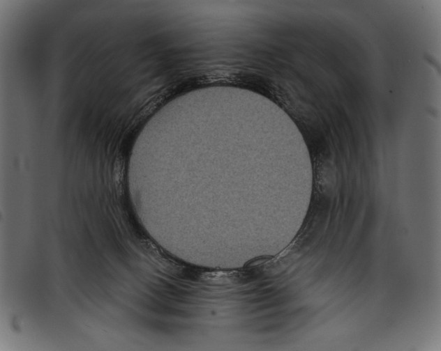 X0000097660082200803281000