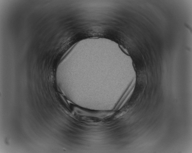 X0000097660084200803281000