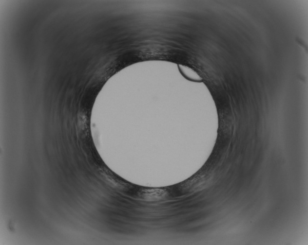X0000097660087200803281000