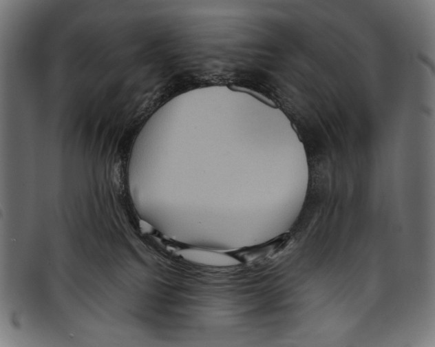 X0000097660088200803281000