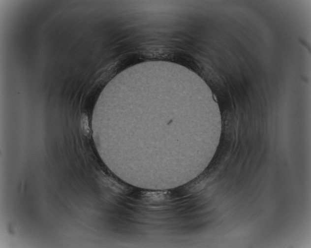 X0000097660089200803281000