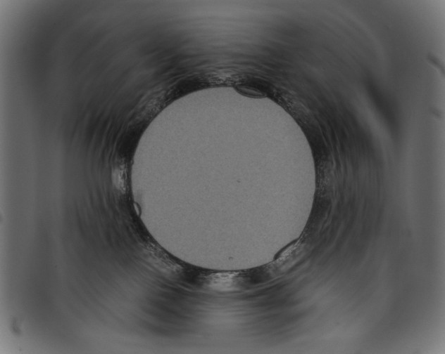 X0000097660090200803281000