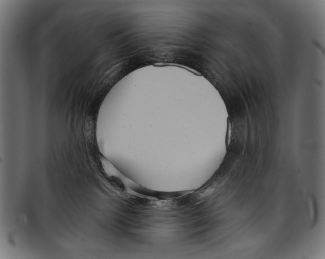 X0000097660092200803281000