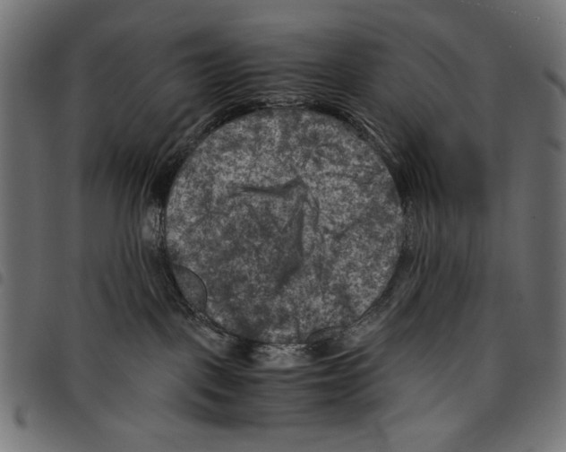 X0000097660093200803281000